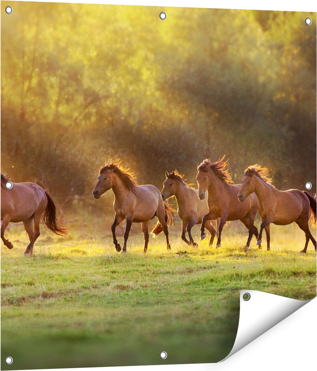 Gards Tuinposter Kudde Bruine Paarden in de Wei - 80x80 cm - Tuindoek - Tuindecoratie - Wanddecoratie buiten - Tuinschilderij Multikleur