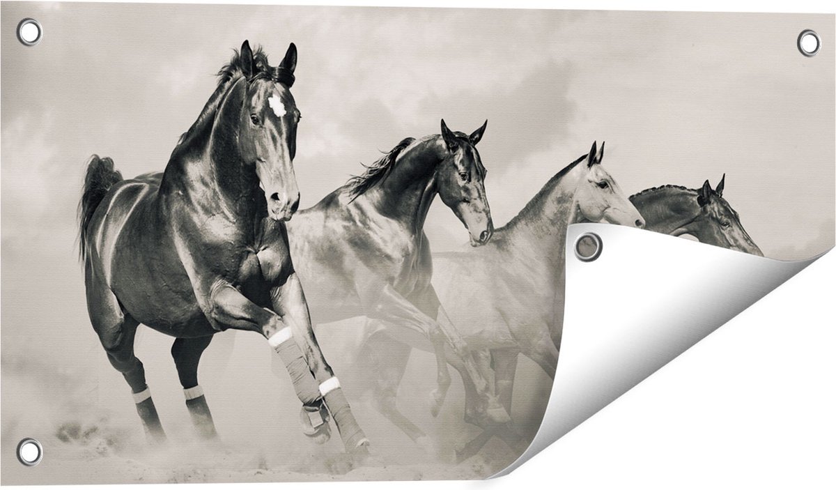 Gards Tuinposter Vier Paarden naast Elkaar - Zwart Wit - 60x30 cm - Tuindoek - Tuindecoratie - Wanddecoratie buiten - Tuinschilderij Multikleur