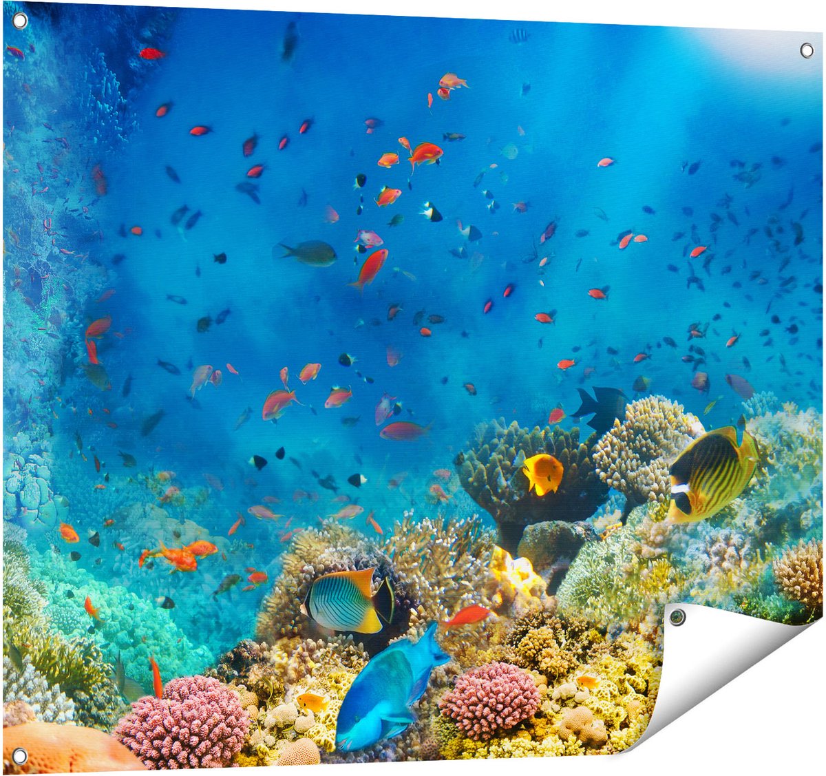 Gards Tuinposter Onderwater Vissen met Koraal in de Zee - 100x80 cm - Tuindoek - Tuindecoratie - Wanddecoratie buiten - Tuinschilderij Multikleur