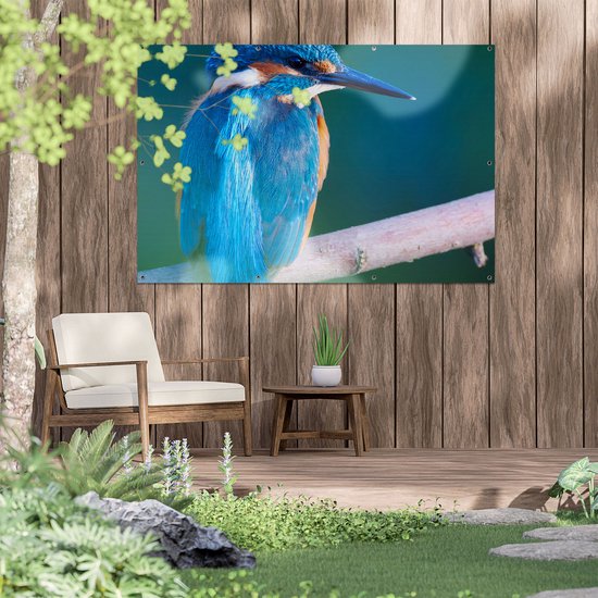 Het geluid van de ijsvogel: blauw juweeltje produceert een fluitende roep Het geluid van de ijsvogel: blauw juweeltje produceert een fluitende roep