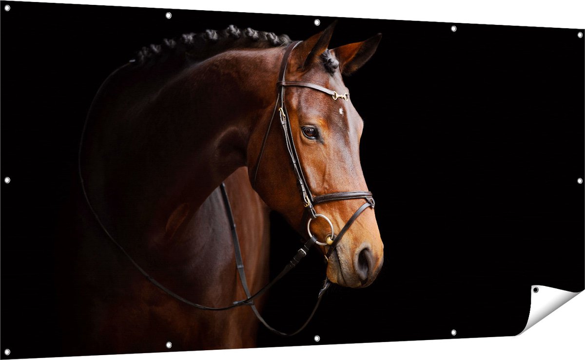 Gards Tuinposter Bruin Paard op een Zwart Achtergrond - 200x100 cm - Tuindoek - Tuindecoratie - Wanddecoratie buiten - Tuinschilderij Multikleur
