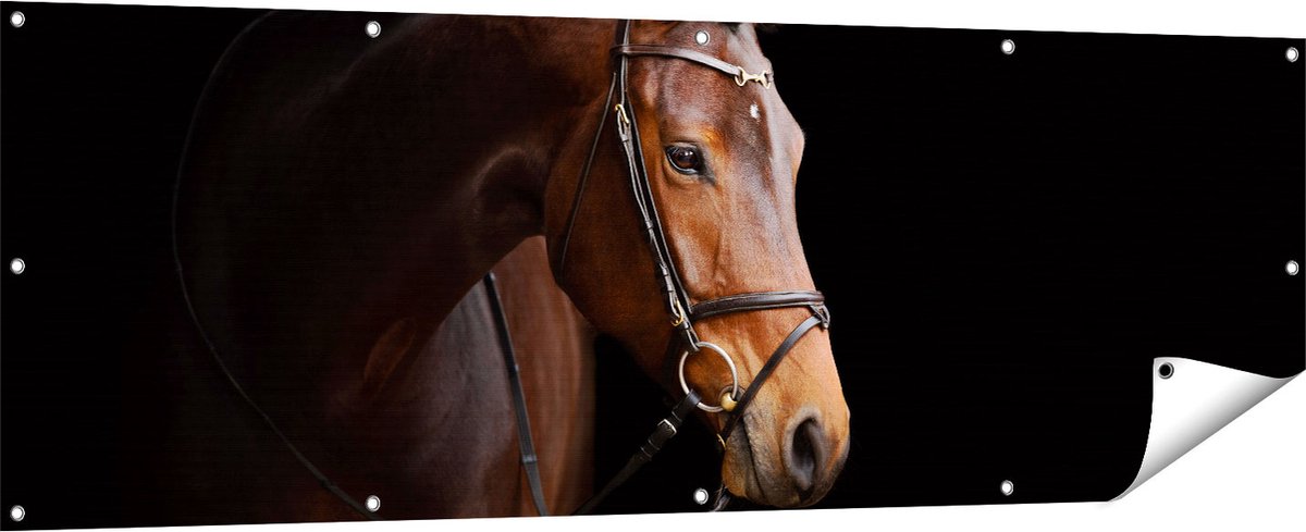 Gards Tuinposter Bruin Paard op een Zwart Achtergrond - 180x60 cm - Tuindoek - Tuindecoratie - Wanddecoratie buiten - Tuinschilderij Multikleur