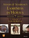 Adams and Stashak′s Lameness in Horses