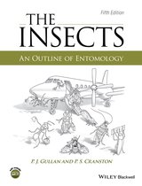Insects 5th Edition