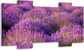 GroepArt - Schilderij - Lavendel - Paars, Groen - 120x65 5Luik - Foto Op Canvas - GroepArt 6000+ Schilderijen 0p Canvas Art Collectie - Wanddecoratie
