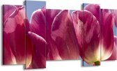 Peinture sur toile Tulipes | Blanc, violet | 120x65 5 Liège