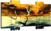 GroepArt - Schilderij - Natuur - Geel, Bruin, Wit - 120x65 5Luik - Foto Op Canvas - GroepArt 6000+ Schilderijen 0p Canvas Art Collectie - Wanddecoratie