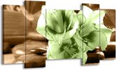 GroepArt - Schilderij - Orchidee - Groen, Bruin - 120x65 5Luik - Foto Op Canvas - GroepArt 6000+ Schilderijen 0p Canvas Art Collectie - Wanddecoratie