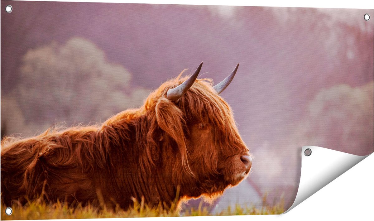 Gards Tuinposter Schotse Hooglander Koe Ligt in het Gras - 100x50 cm - Tuindoek - Tuindecoratie - Wanddecoratie buiten - Tuinschilderij Multikleur