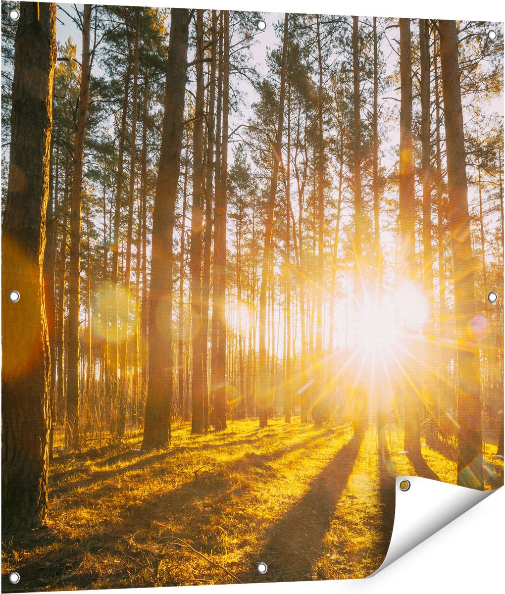 Gards Tuinposter Zonsopkomst in het Bos tussen de Bomen - 90x90 cm - Tuindoek - Tuindecoratie - Wanddecoratie buiten - Tuinschilderij Multikleur