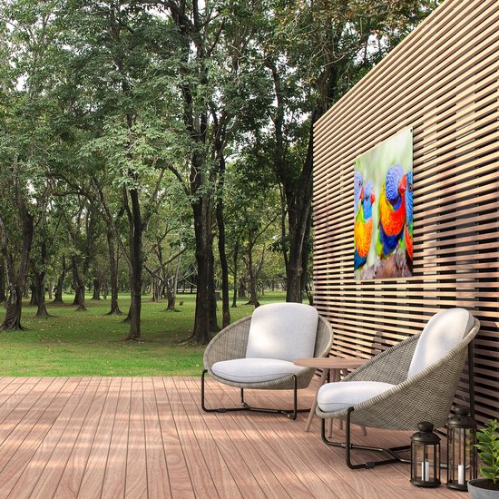 Gards Poster de jardin Quatre Vogels Lori arc-en-ciel sur une branche - 100x80 cm - Toile de jardin - Décoration de jardin - Décoration murale extérieure - Peinture de jardin