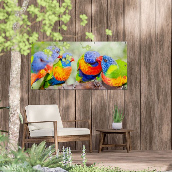 Gards Poster de jardin Quatre Vogels Lori arc-en-ciel sur une branche - 120x60 cm - Toile de jardin - Décoration de jardin - Décoration murale extérieure - Peinture de jardin