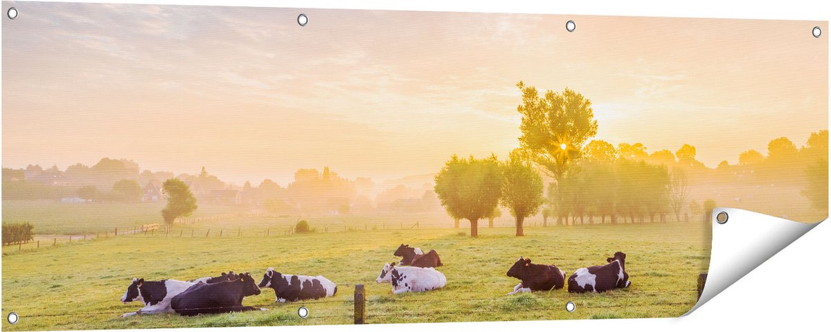 Gards Tuinposter Koeien in de Wei tijdens Zonsopgang - 150x50 cm - Tuindoek - Tuindecoratie - Wanddecoratie buiten - Tuinschilderij Multikleur