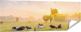 Gards Tuinposter Koeien in de Wei tijdens Zonsopgang - 150x50 cm - Tuindoek - Tuindecoratie - Wanddecoratie buiten - Tuinschilderij