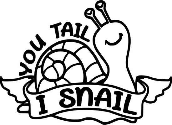 Grappige Auto - Raam sticker You tail I snail - Guote - Spreuk - Funny - Humor
