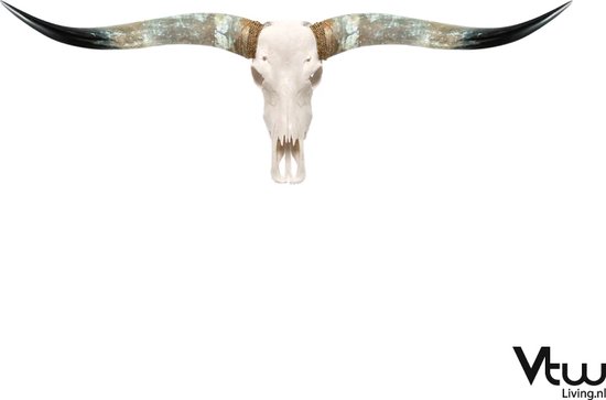 Vtw Living - Echte Longhoorn Skull - Decoratie - Tuindecoratie - Tuin - Wanddecoratie - 160 cm