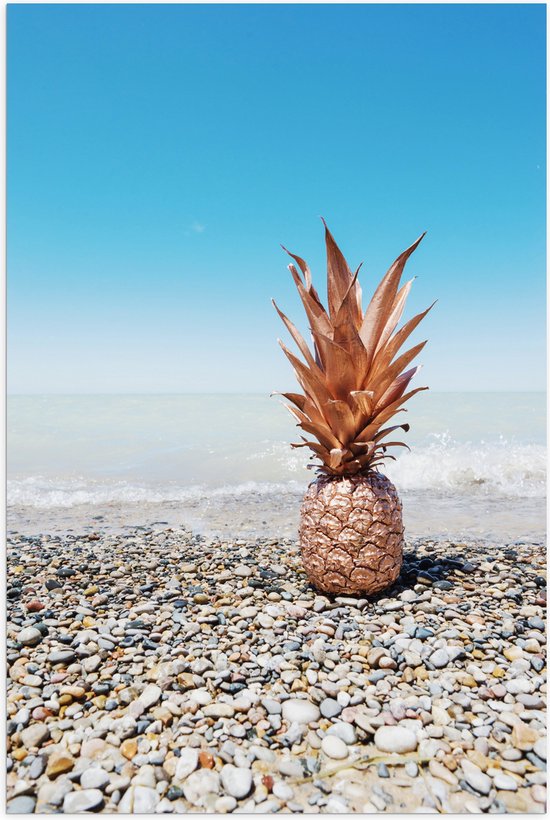 Poster Glanzend – Ananas op Kiezelstenen - 70x105 cm Foto op Posterpapier met Glanzende Afwerking
