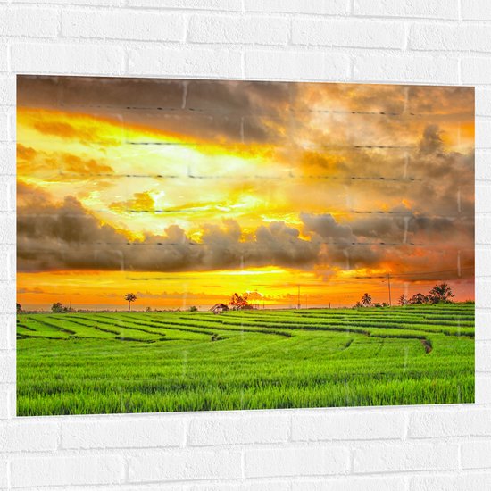 Muursticker - Feloranje Lucht Vol Wolken boven Rijstvelden van Indonesië - 100x75 cm Foto op Muursticker