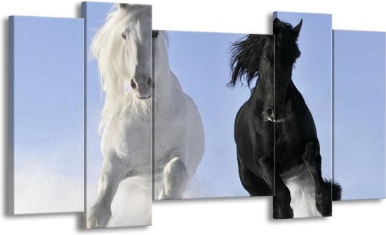 GroepArt - Schilderij - Paarden - Wit, Zwart, Blauw - 120x65 5Luik - Foto Op Canvas - GroepArt 6000+ Schilderijen 0p Canvas Art Collectie - Wanddecoratie