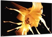 Schilderij Op Canvas Bloem - Oranje, Geel, Zwart - 120x70cm 1Luik - Foto Op Canvas - GroepArt 6000+ Schilderijen 0p Canvas Art Collectie - Wanddecoratie - Woonkamer - Slaapkamer - Canvas Print