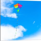 Dibond - Foto van Kleurrijke Vlieger onder Schapenwolken - 80x80 cm Foto op Aluminium (Wanddecoratie van metaal)