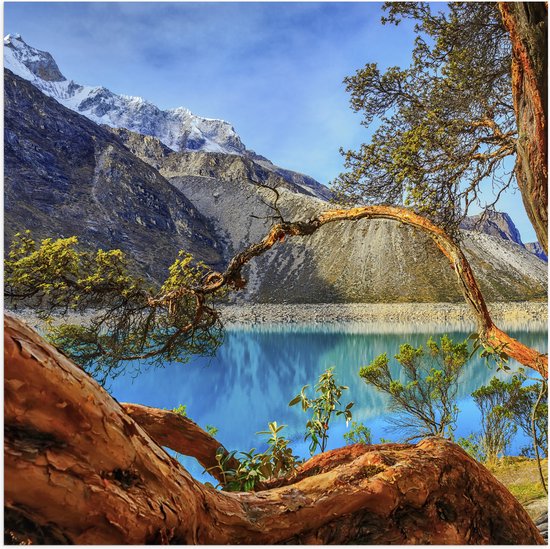 Poster Glanzend – Bomen en Takken hangend over Blauw Water in het Dal van de Bergen - 80x80 cm Foto op Posterpapier met Glanzende Afwerking