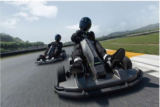 Ninebot Go Kart Pro Powered by Segway - Go Kart - Actieradius: 25km - Snelheid: 40km/h - Officieel Benelux model