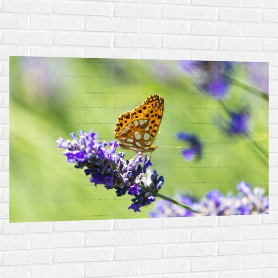 Muursticker - Gele Vlinder op Lavendelbloem in Italië - 120x80 cm Foto op Muursticker
