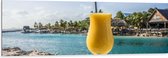 WallClassics - Dibond - Gele Cocktail op Rots aan het Water van Vakantieplek - 150x50 cm Foto op Aluminium (Wanddecoratie van metaal)