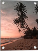 WallClassics - Tuinposter – Groepje Hoge Palmbomen op het Strand bij Zonsondergang - 30x40 cm Foto op Tuinposter (wanddecoratie voor buiten en binnen)