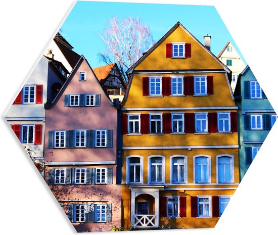 PVC Schuimplaat Hexagon - Gekleurde Huisjes naast Elkaar - 50x43.5 cm Foto op Hexagon (Met Ophangsysteem)