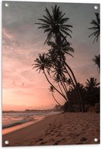WallClassics - Tuinposter – Groepje Hoge Palmbomen op het Strand bij Zonsondergang - 60x80 cm Foto op Tuinposter (wanddecoratie voor buiten en binnen)