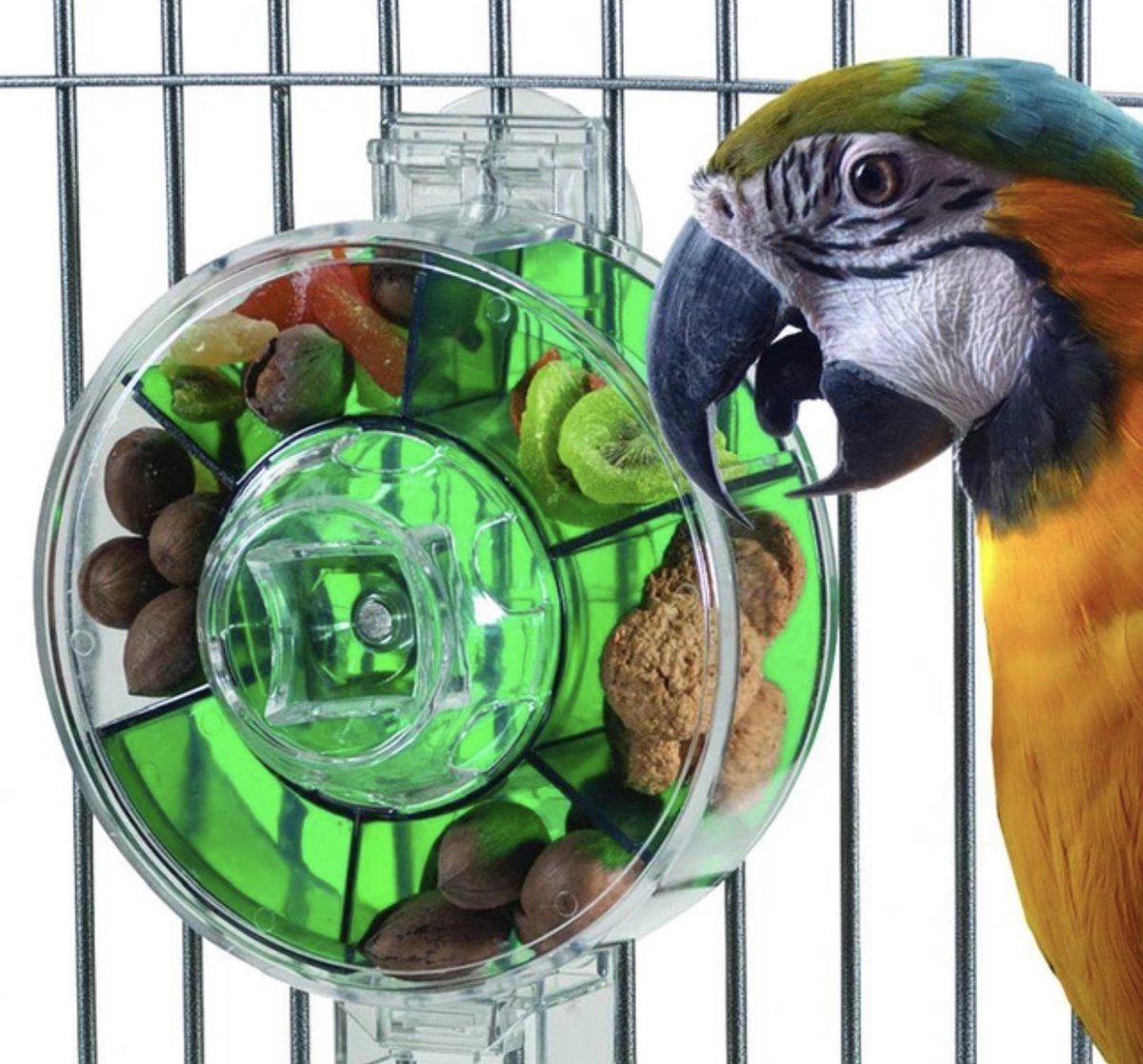 keuken methodologie Platteland Foerageer wiel Papegaaien- papegaai speelgoed intelligentie - speelgoed  papegaaien | bol.com