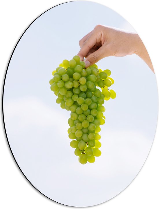 Dibond Ovaal - Tros Verse Groene Druiven in Mensenhand - 42x56 cm Foto op Ovaal (Met Ophangsysteem)