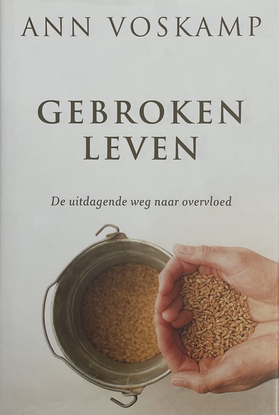 9789051945447 - Gebroken leven