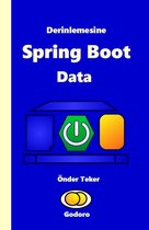 Derinlemesine Spring Boot Data