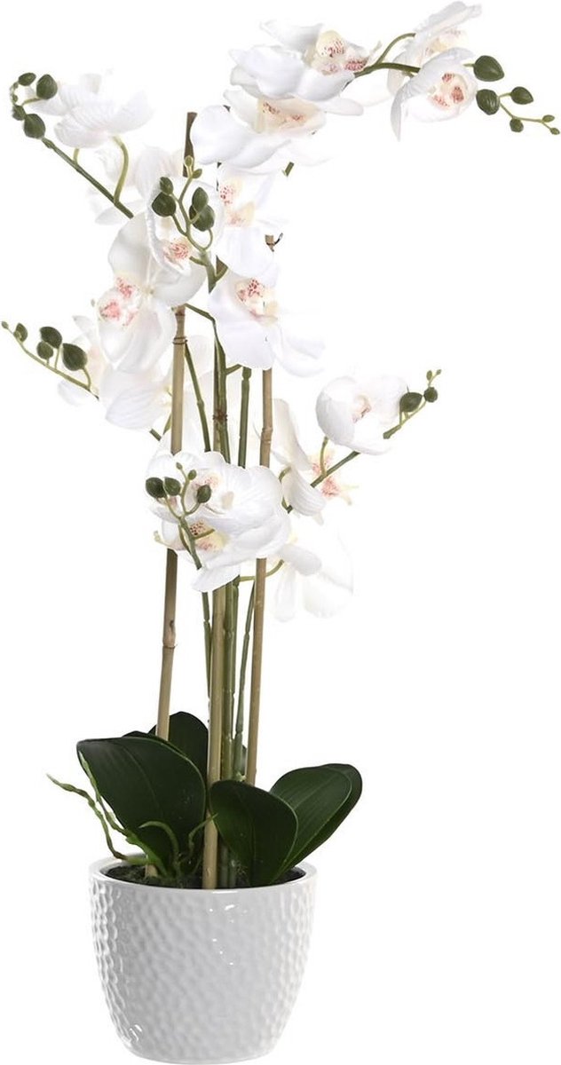 Items Orchidee bloemen kunstplant in witte bloempot - witte bloemen - H77 cm