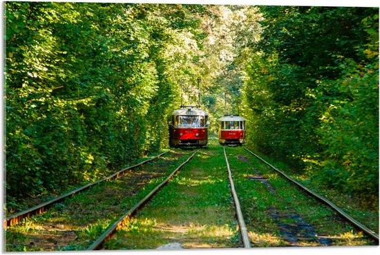 Acrylglas - Twee Rode Trams op Tramrails door Groenrijk Bos - 75x50 cm Foto op Acrylglas (Wanddecoratie op Acrylaat)