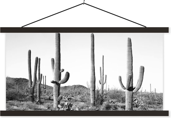 Posterhanger incl. Poster - Schoolplaat - Cactussen - Zwart wit - Natuur - Landschap - 120x60 cm - Zwarte latten cadeau geven