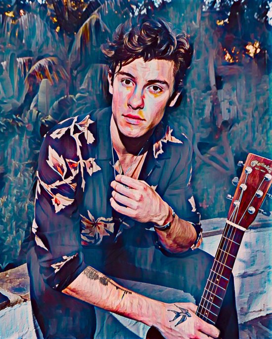 Shawn Mendes 3 - Poster - 40 x 50 cm