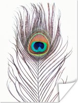 Poster Pauwenveren - Blauw - Veer - Pauw - Dieren - 60x80 cm