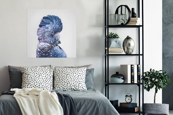 Poster Kaketoe - Blauw - Dieren - Natuur - 75x75 cm