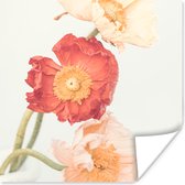 Poster Bloemen - Rood - Natuur - Planten - 50x50 cm