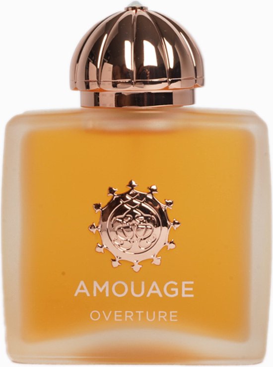 Bol.com Amouage - Overture Woman Eau de Parfum - 100 ml - Dames Parfum aanbieding Bol.com Amouage - Overture Woman Eau de Parfum - 100 ml - Dames Parfum aanbieding