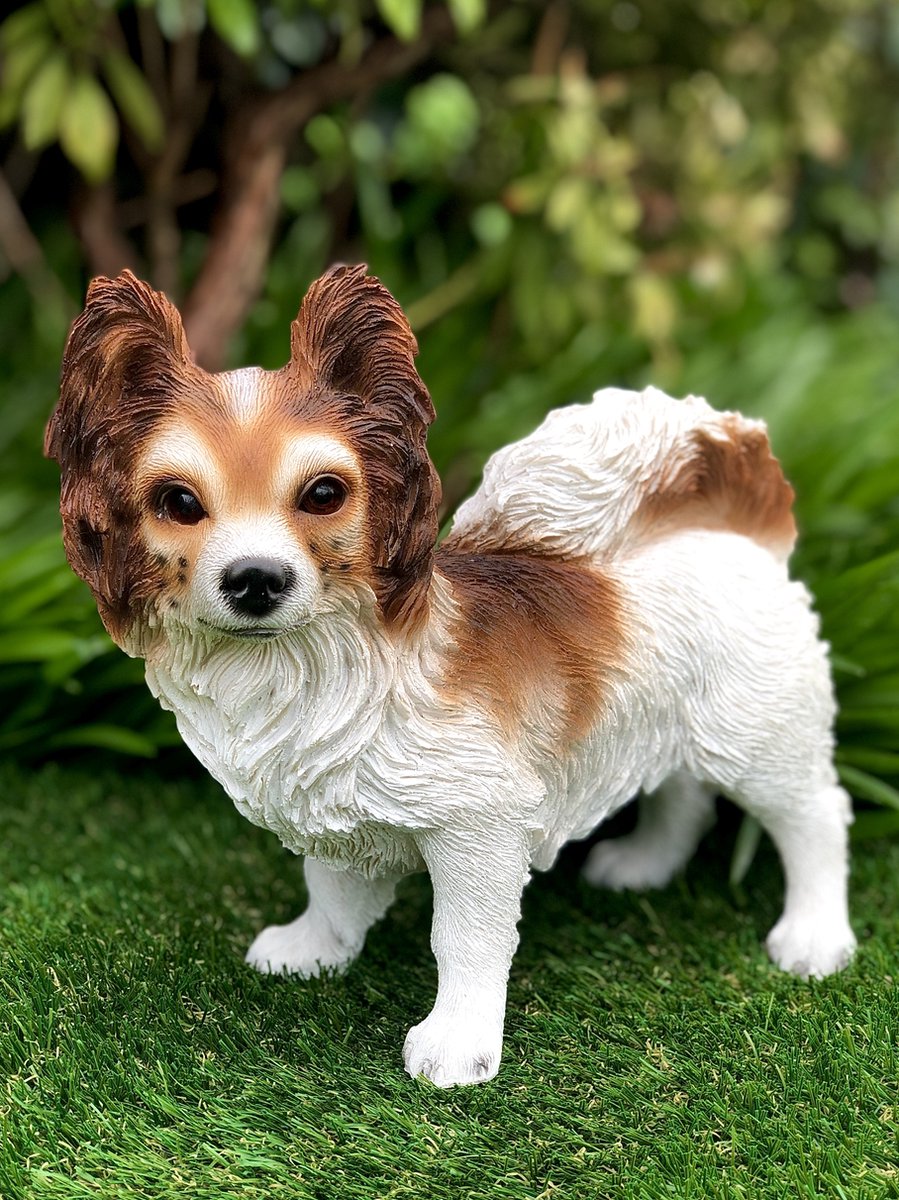Vlinderhond/Papillon dog staand 22 cm hoog - hond - dog - polyester - polystone - beeld - tuinbeeld - hoogkwalitatieve kunststof - decoratiefiguur - interieur - accessoire - voor binnen - voor buiten - cadeau - geschenk - Kerst - nieuwjaar