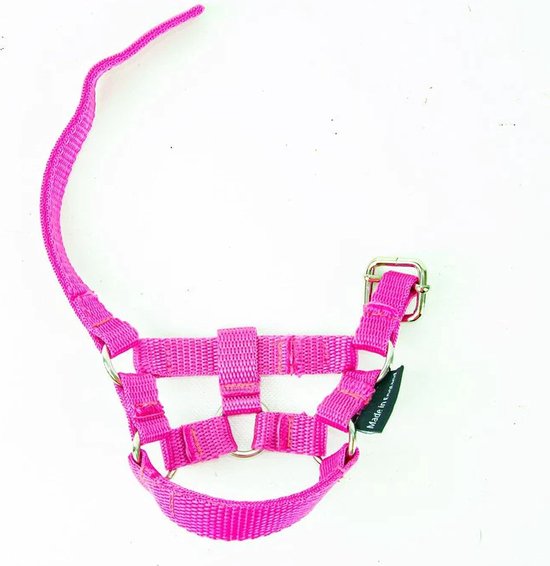 Felroze halster van nylon met metalen gesp en ringen.