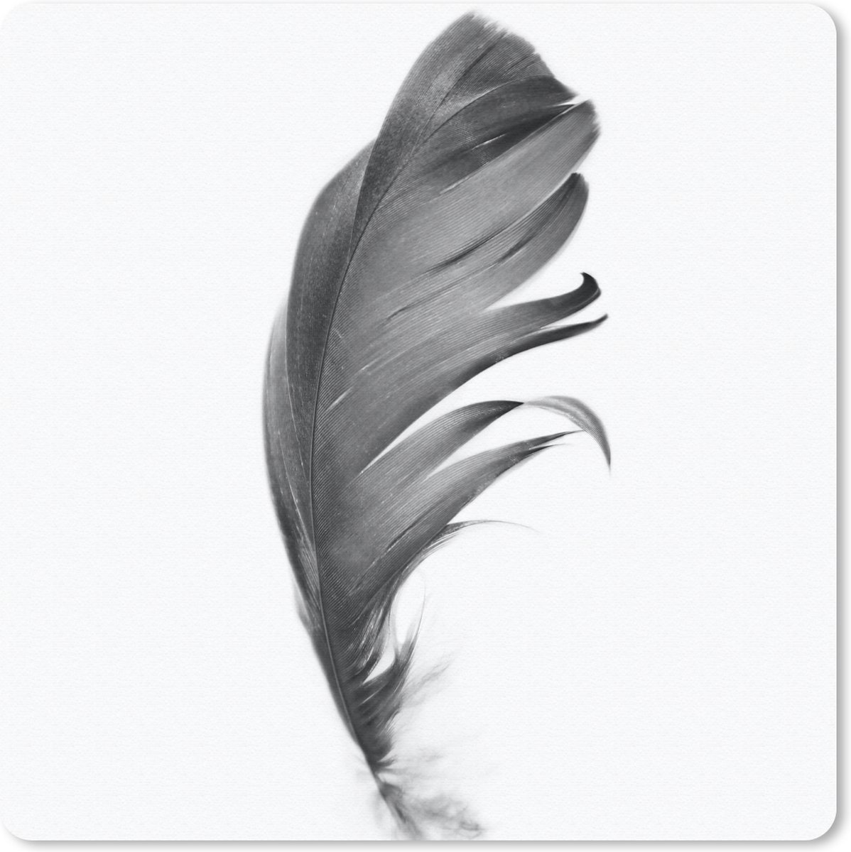 Muismat 20x20 cm - Mousepad Veer - Zwart - Wit - Natuur - Muismatten
