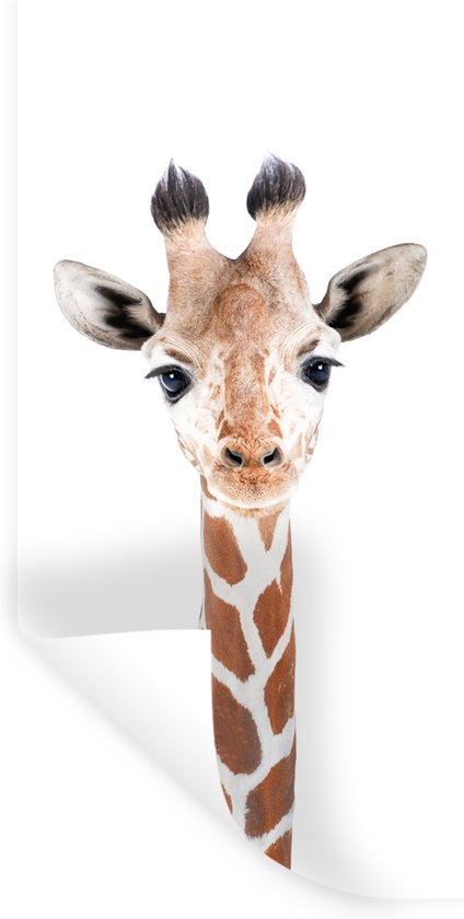Stickers muraux - Sticker Foil - Girafe - Animaux - Nature - Portrait - 20x40 cm - Film Adhésif - Stickers muraux Chambre Enfant - Papier Peint Auto Adhésif