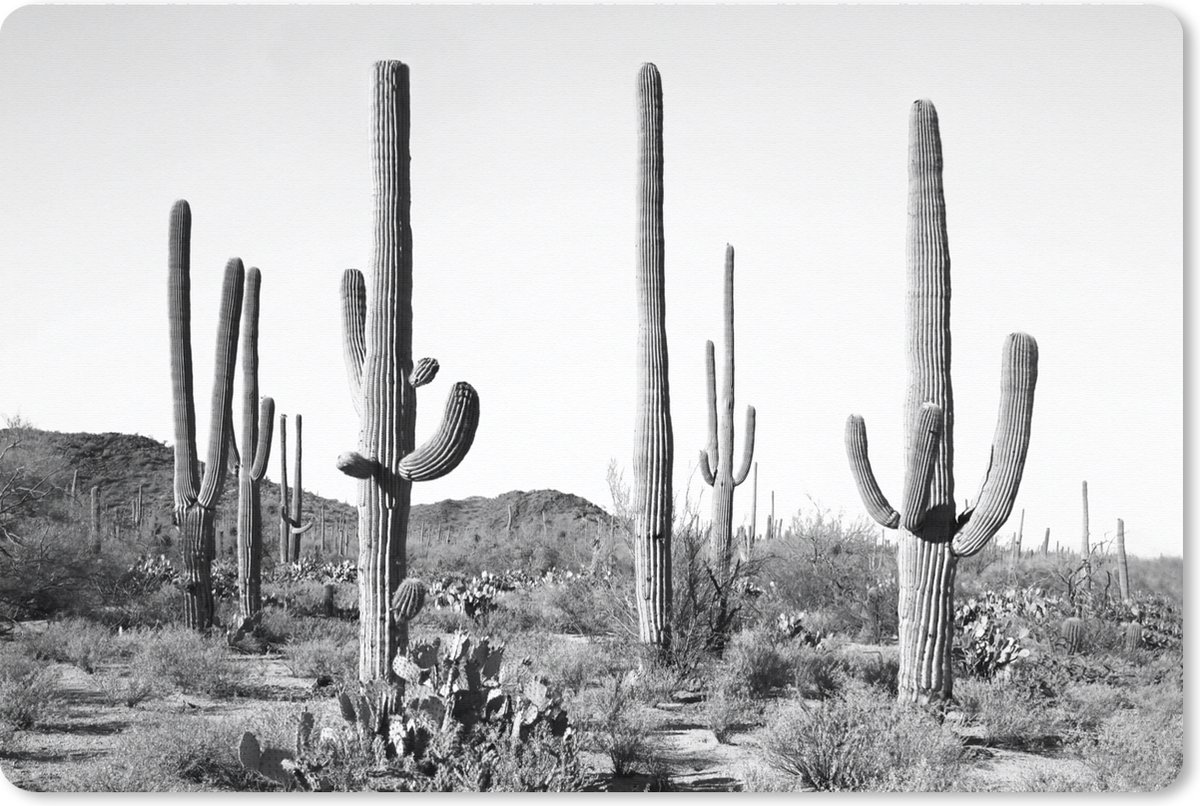 Muismat XXL 120x80 cm - Bureau onderlegger - Bureau mat Cactussen - Zwart wit - Natuur - Landschap - Bureaumat - Gaming mousepad xl - Bureaulegger groot - Computer deskmat