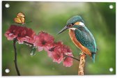 Tuinposter – IJsvogel en Vlinder op Bloesem Bloemen - 60x40 cm Foto op Tuinposter (wanddecoratie voor buiten en binnen)